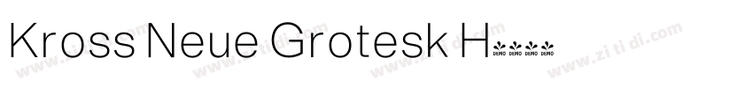 Kross Neue Grotesk H字体转换